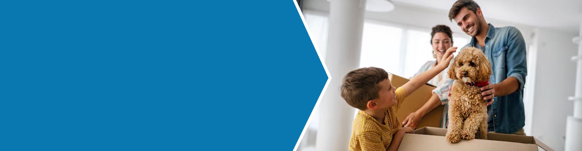 child pets family dog in new home